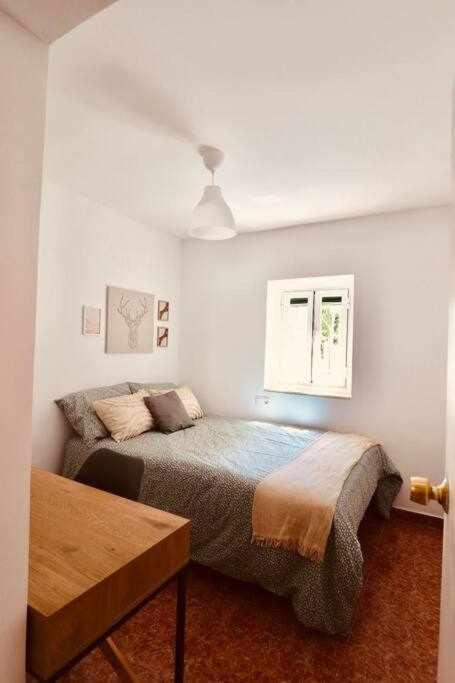 Fantastico En Appartement
